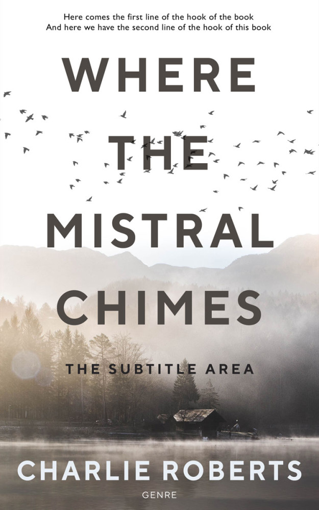 Front view of Silver Rust #4338 - Premade Literary Fiction Book Cover