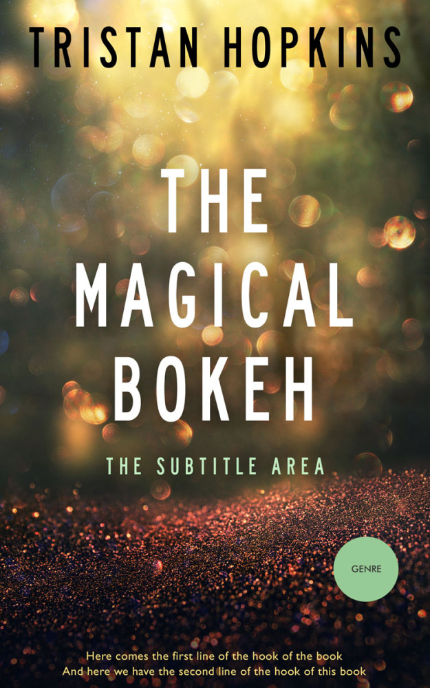 Front view of Birch #4427 - Premade Fantasy Book Cover