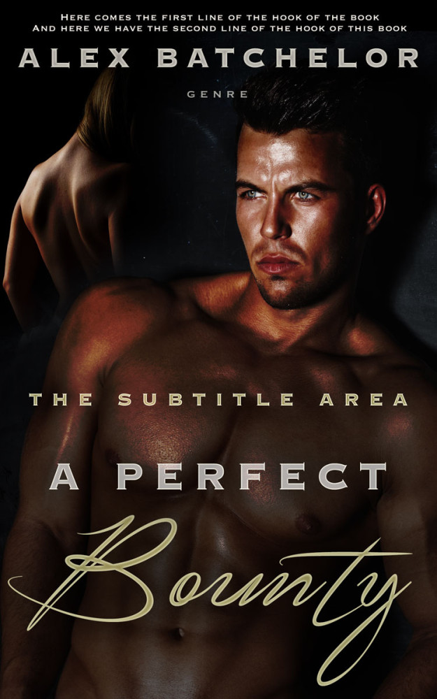 Front view of Night Rider #6522 - Premade Erotica Book Cover