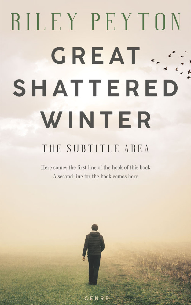 Front view of Bizarre #7426 - Premade Mystery & Thriller & Suspense Book Cover