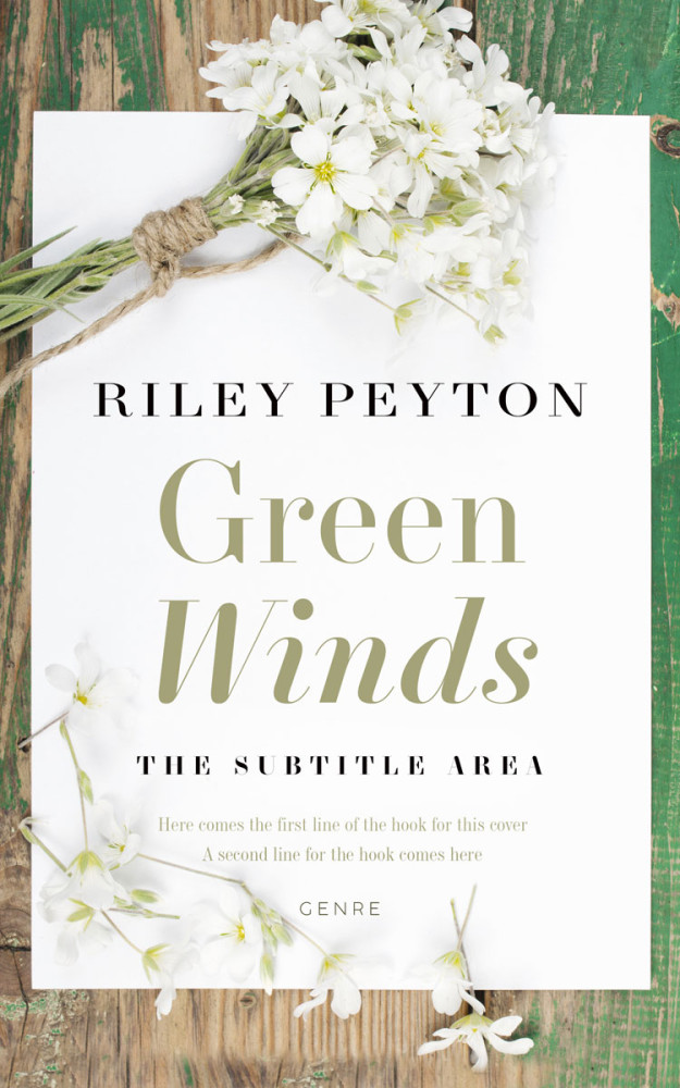 Front view of Westar #7464 - Premade Romance Book Cover