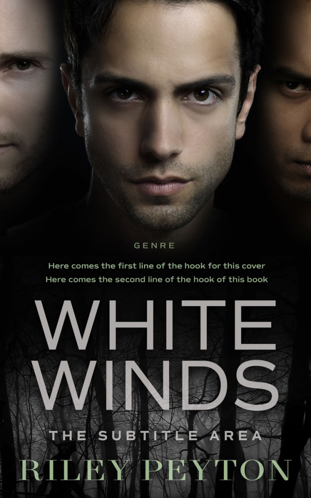 Front view of Zorba #7480 - Premade Action & Adventure Book Cover