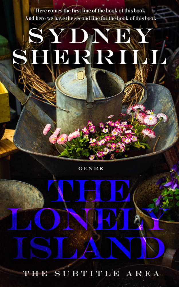 Front view of Gondola #8139 - Premade Travel Book Cover