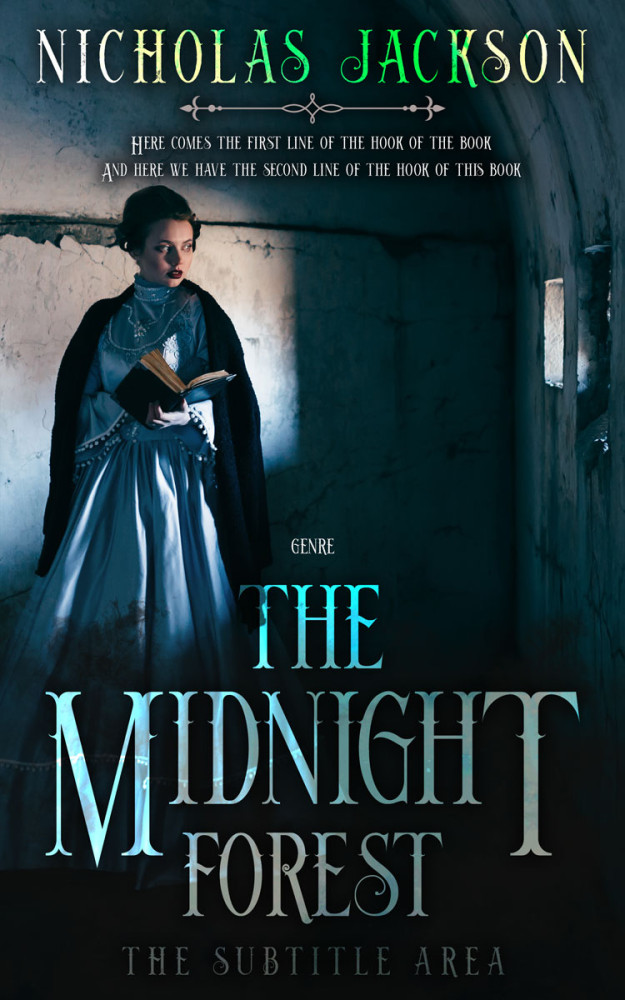 Front view of Firefly #9333 - Premade Historical Book Cover