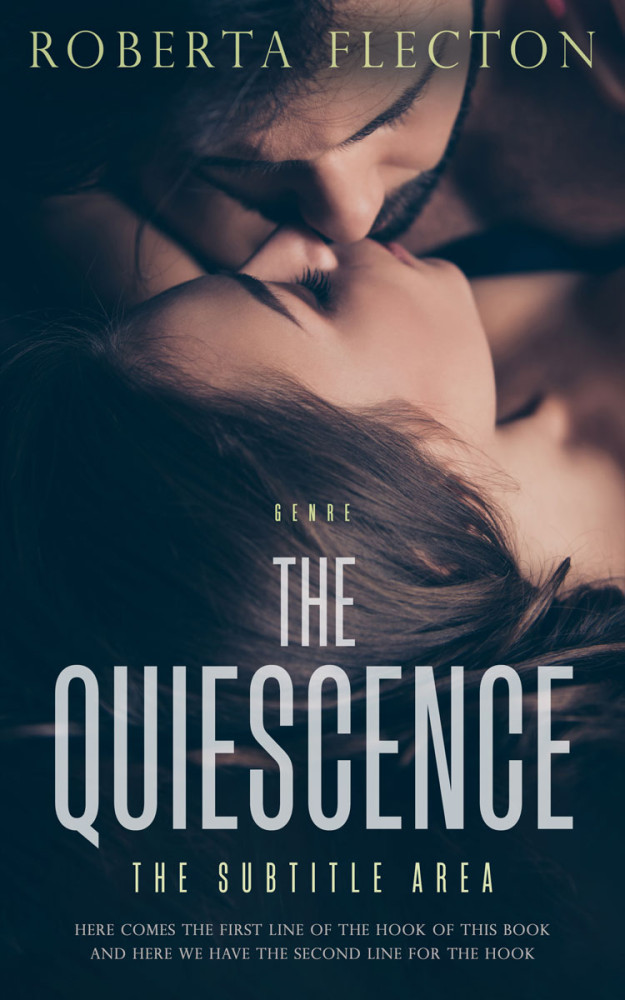 Front view of Big Stone #9415 - Premade Erotica Book Cover