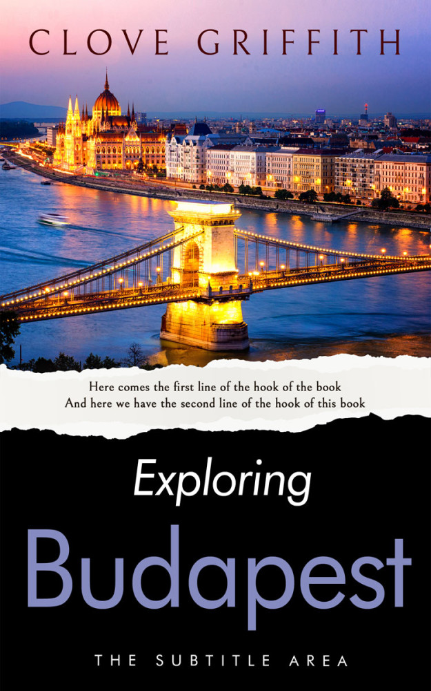 Front view of Cocoa Brown #10332 - Premade Travel Book Cover