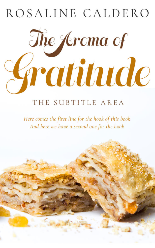 Front view of Merino #10599 - Premade Travel Book Cover