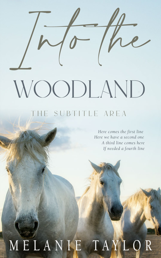 Front view of Geyser #10965 - Premade Travel Book Cover