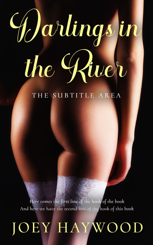 Front view of Night Rider #11523 - Premade Erotica Book Cover