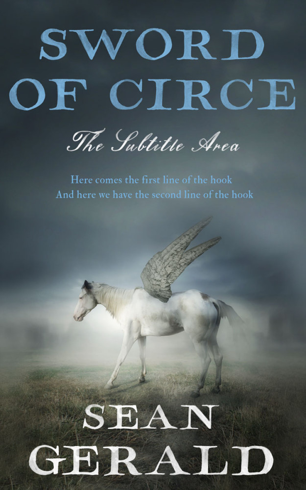 Front view of Cape Cod #11581 - Premade Fantasy Book Cover