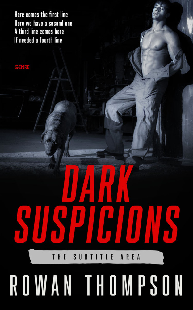 Front view of Contessa #11941 - Premade Erotica Book Cover