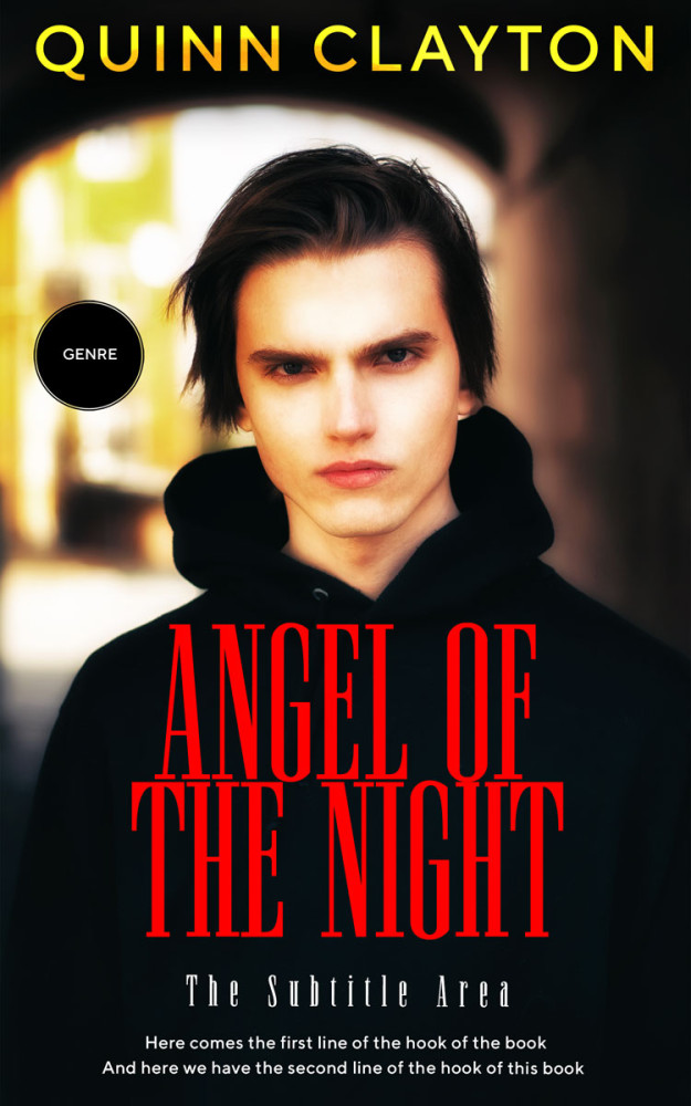 Front view of Woodsmoke #12131 - Premade Teen & Young Adult Book Cover