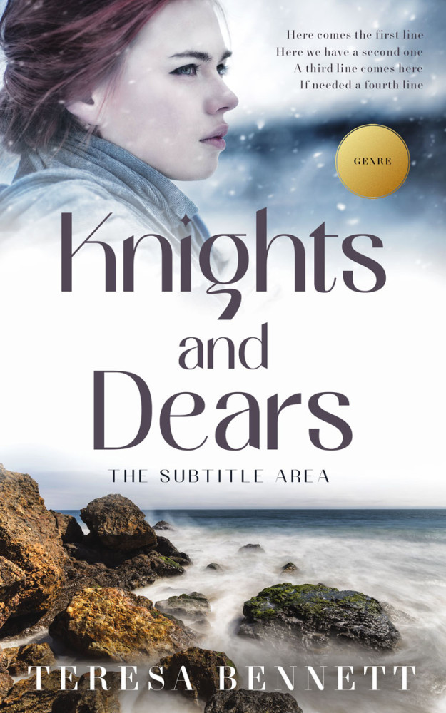 Front view of Silver Sand #12816 - Premade Romance Book Cover