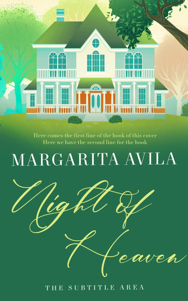 Front view of Amazon #13043 - Premade Literary Fiction Book Cover