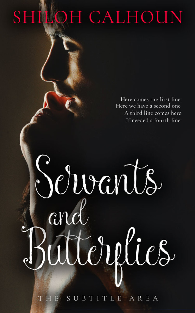 Front view of Cod Gray #13350 - Premade Erotica Book Cover