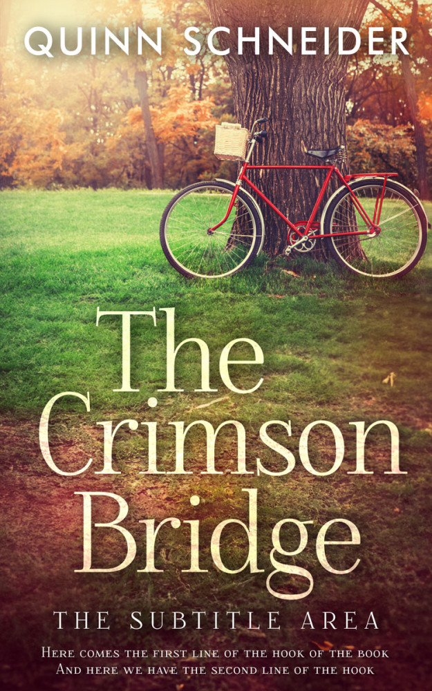 Front view of Quincy #15967 - Premade Literary Fiction Book Cover