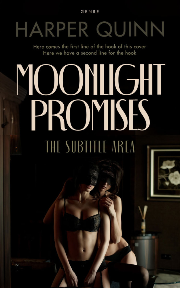 Front view of Night Rider #16903 - Premade Erotica Book Cover