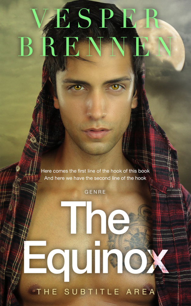 Front view of Domino #20093 - Premade Erotica Book Cover