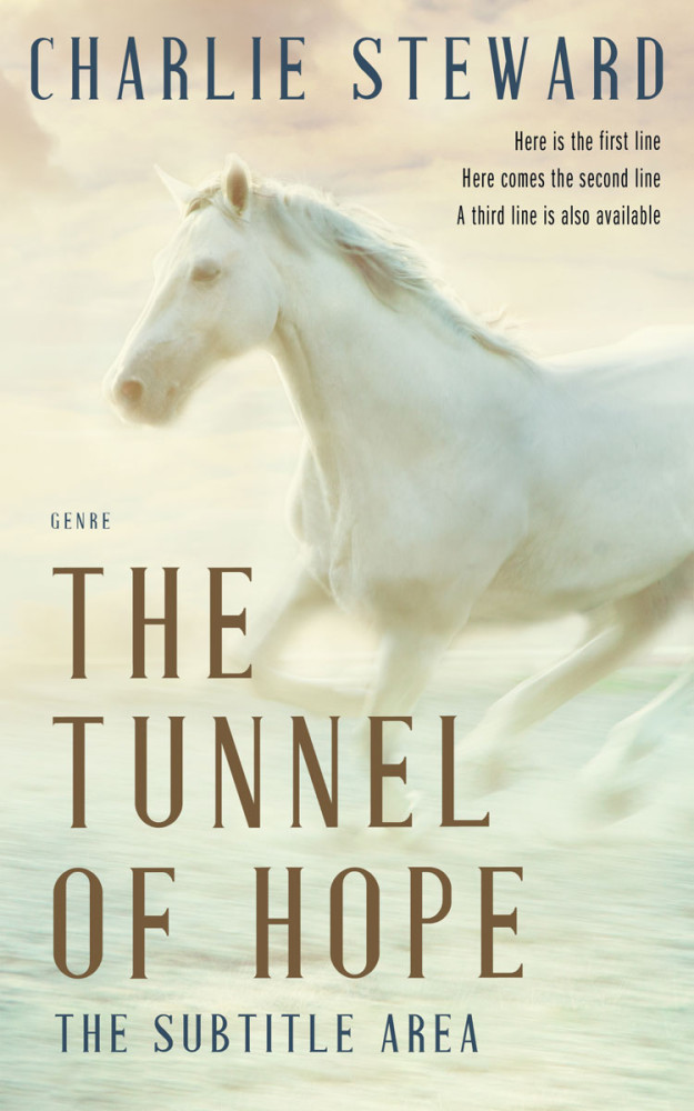 Front view of Tana #21252 - Premade Fantasy Book Cover