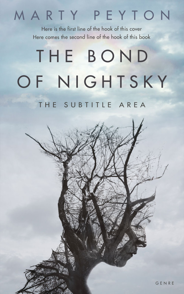 Front view of Loblolly #21697 - Premade Literary Fiction Book Cover