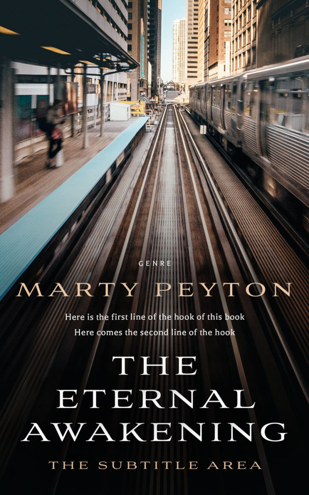 Front view of Silk #21808 - Premade Mystery & Thriller & Suspense Book Cover