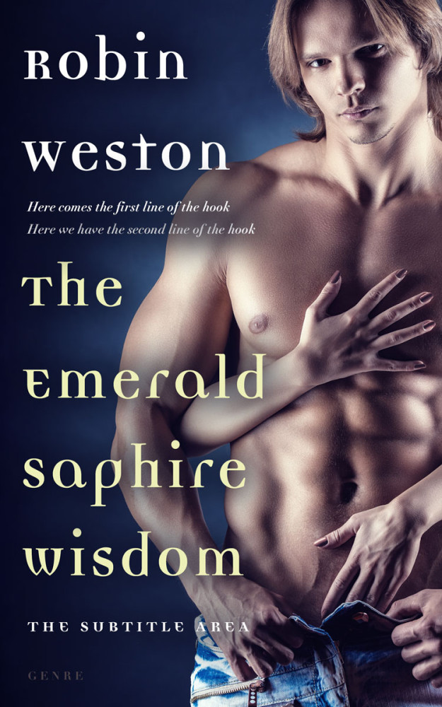 Front view of Steel Gray #22464 - Premade Erotica Book Cover