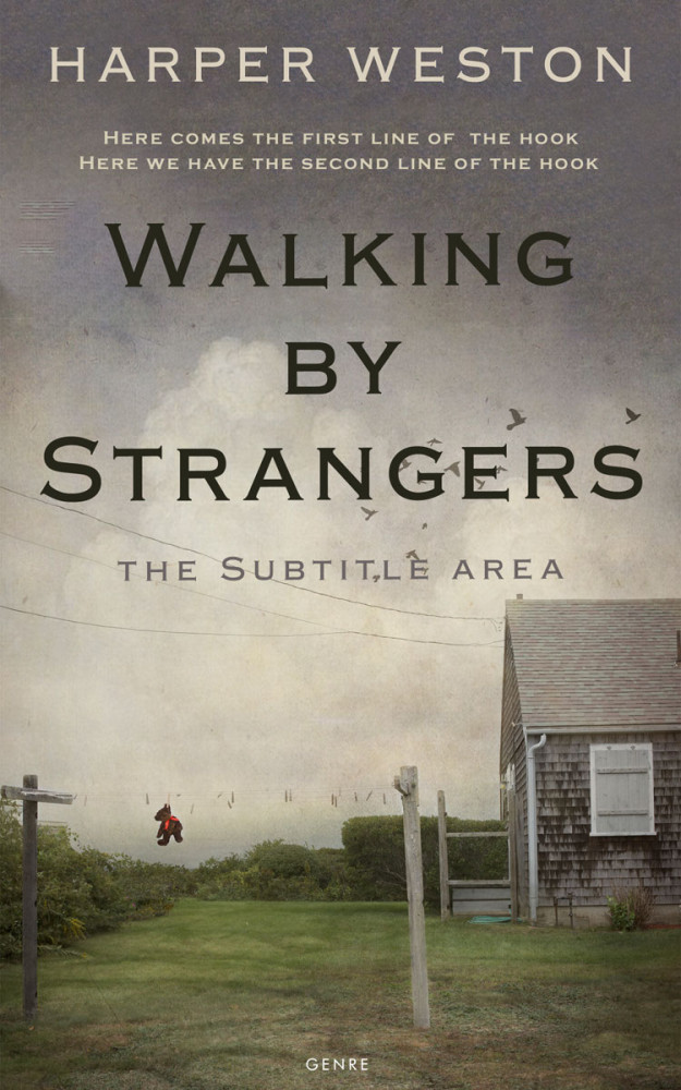 Front view of Flint #22775 - Premade Literary Fiction Book Cover