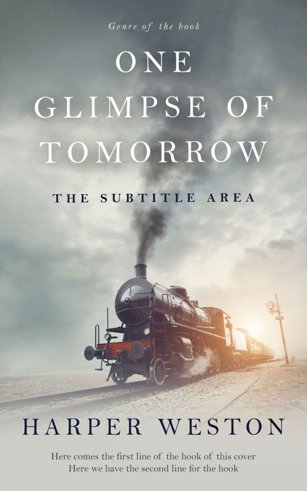 Front view of Mist Gray #22943 - Premade Historical Book Cover