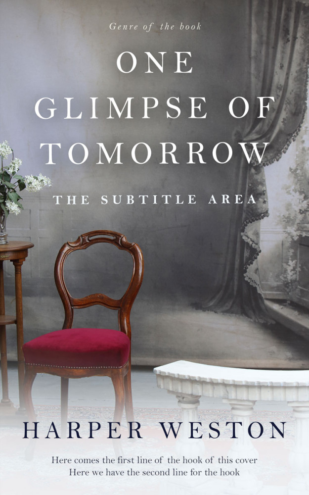 Front view of Suva Gray #22944 - Premade Historical Book Cover