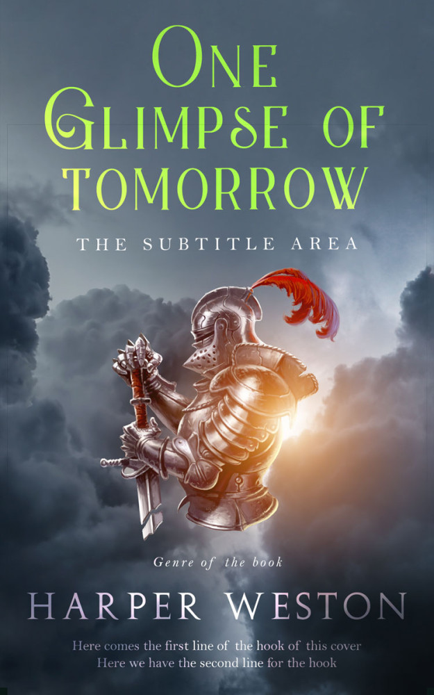 Front view of Shuttle Gray #22960 - Premade Historical Book Cover