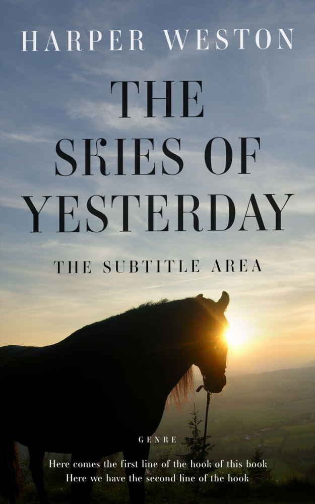 Front view of Regent Gray #23249 - Premade Western Book Cover