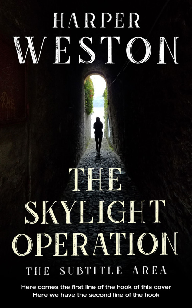 Front view of Cod Gray #23808 - Premade Mystery & Thriller & Suspense Book Cover