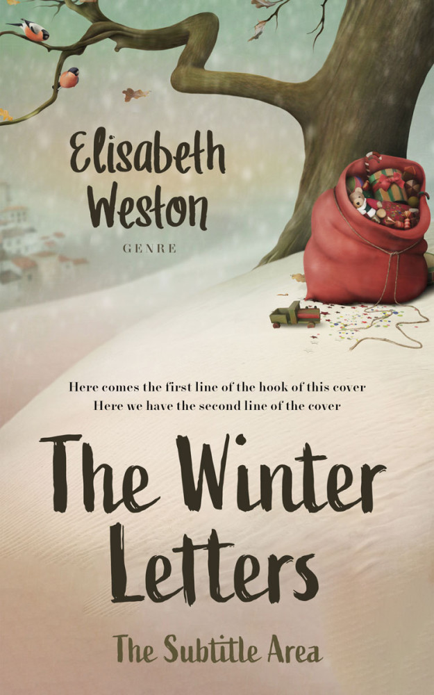 Front view of Bison Hide #24012 - Premade Literary Fiction Book Cover