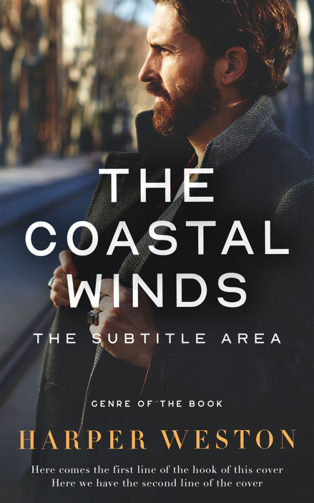 Front view of Baltic Sea #24043 - Premade Mystery & Thriller & Suspense Book Cover