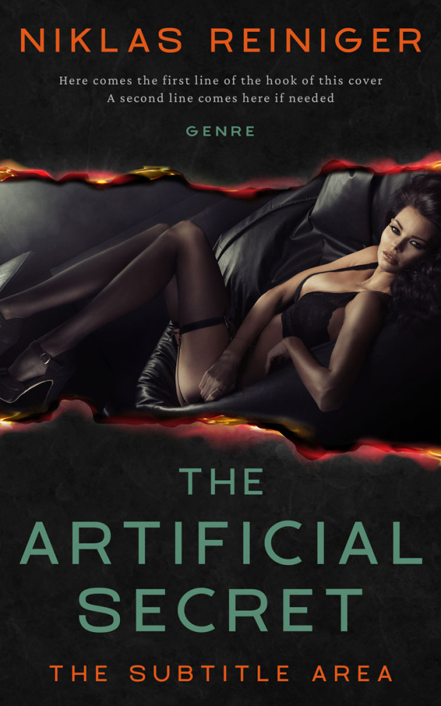 Front view of Cod Gray #24811 - Premade Erotica Book Cover