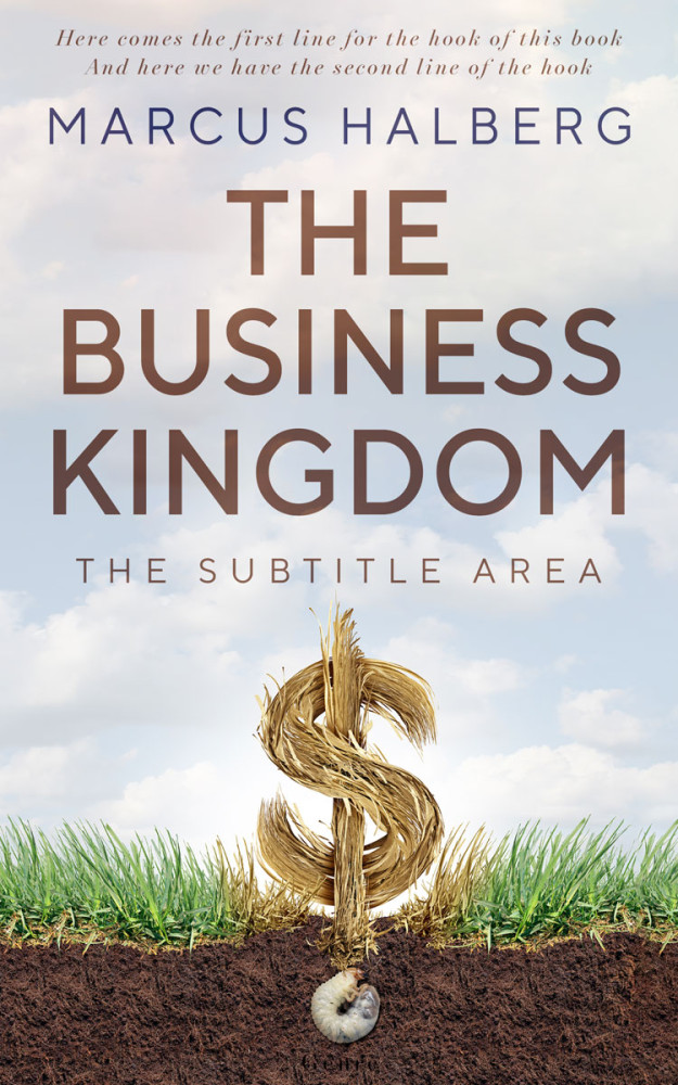 Front view of Iron #27166 - Premade Business Book Cover