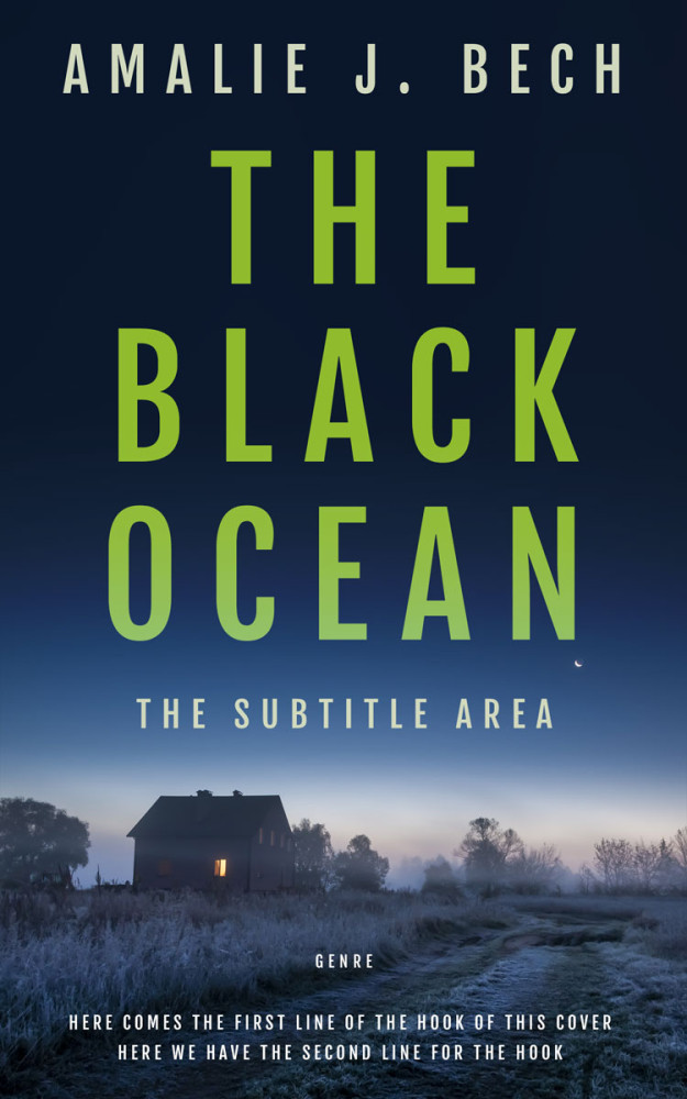 Front view of Big Stone #27893 - Premade Mystery & Thriller & Suspense Book Cover