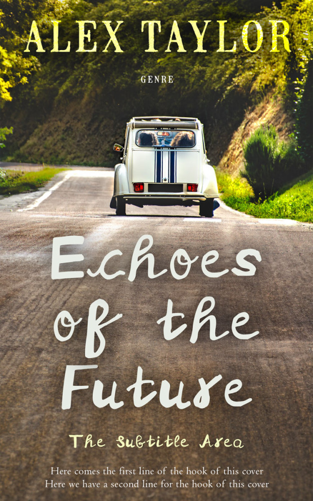 Front view of Judge Gray #28883 - Premade Travel Book Cover