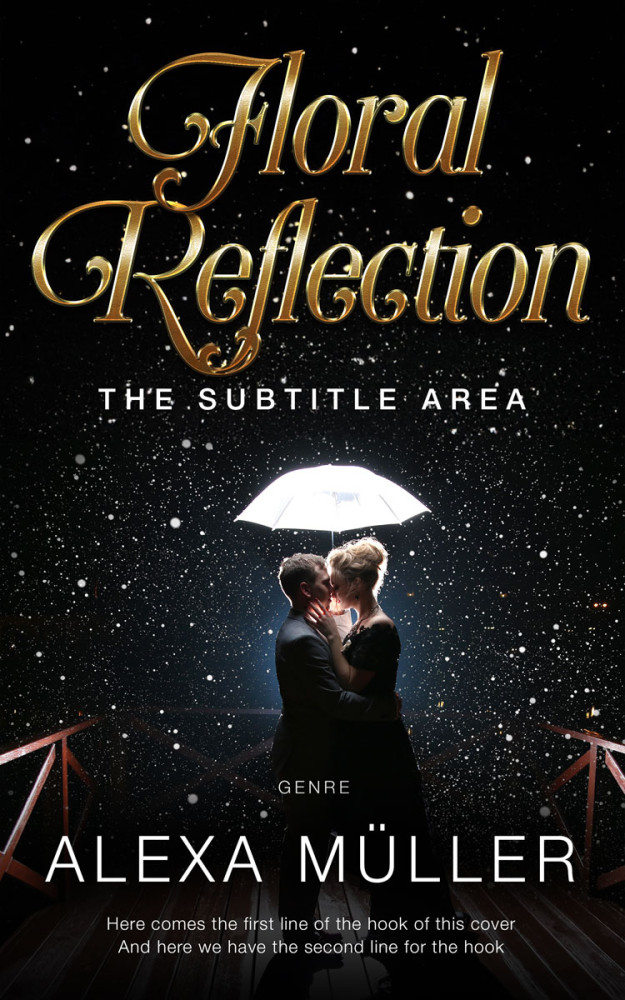 Front view of Cod Gray #29213 - Premade Romance Book Cover