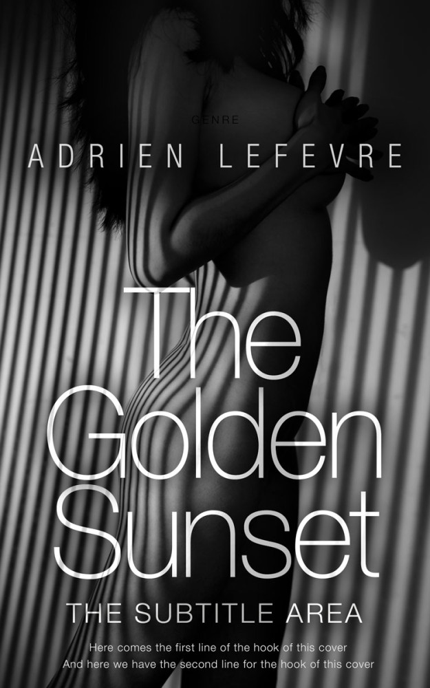 Front view of Mine Shaft #29411 - Premade Erotica Book Cover