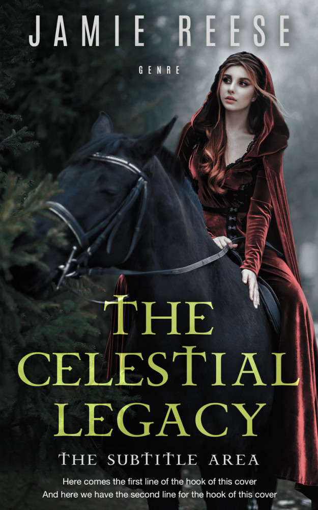 Front view of Woodsmoke #29733 - Premade Historical Book Cover