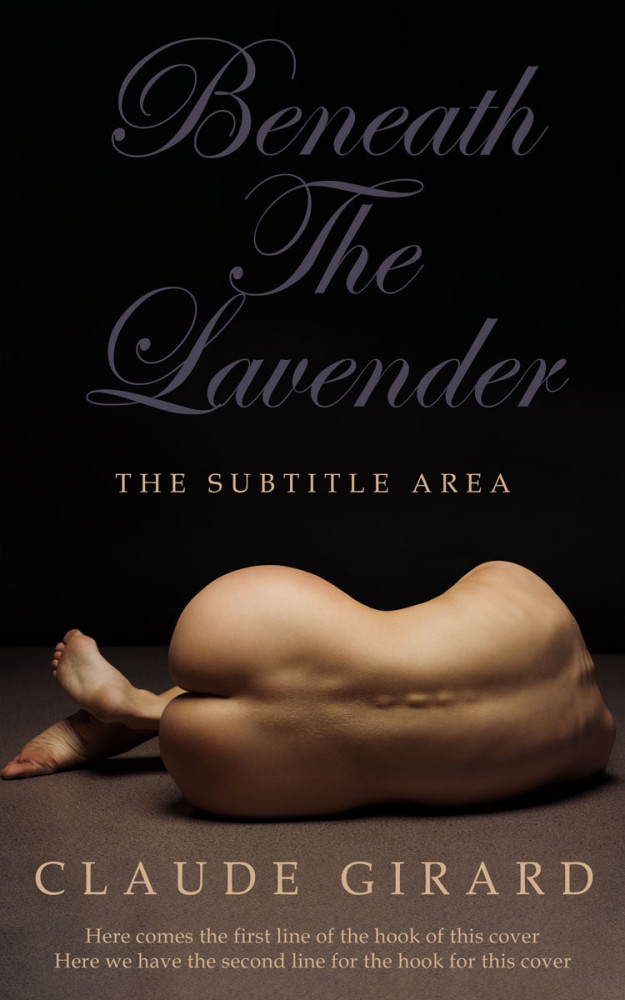 Front view of Cod Gray #29928 - Premade Erotica Book Cover