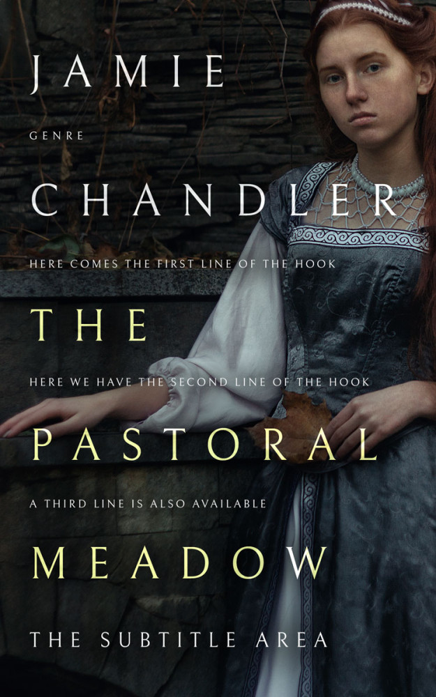 Front view of Woodsmoke #31484 - Premade Historical Book Cover