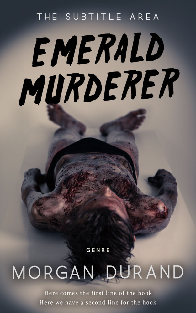 Front view of Ship Gray #32069 - Premade Mystery & Thriller & Suspense Book Cover