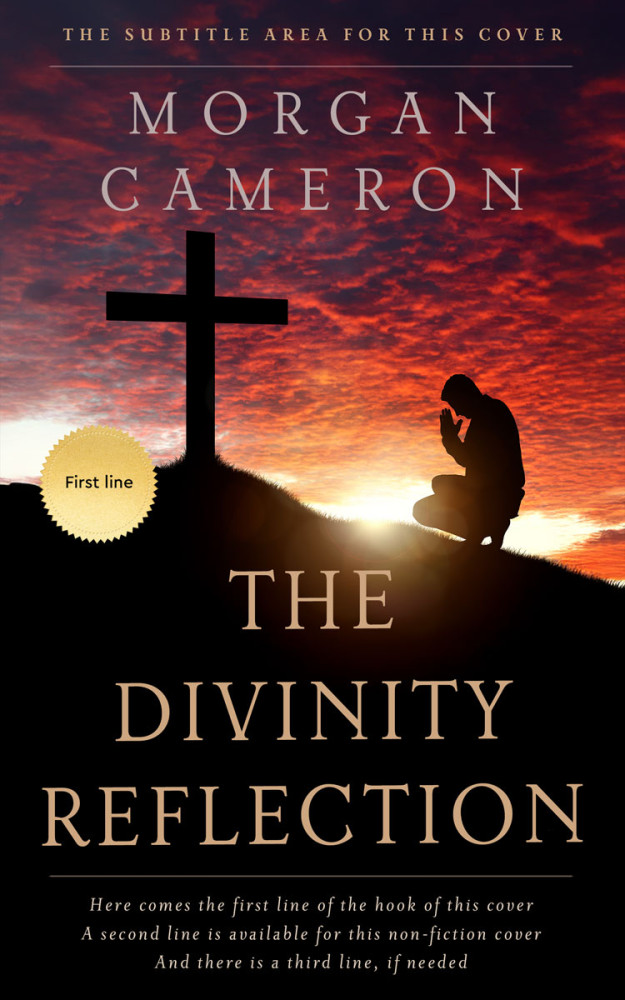 Front view of Whiskey #32726 - Premade Health & Mind & Body Book Cover