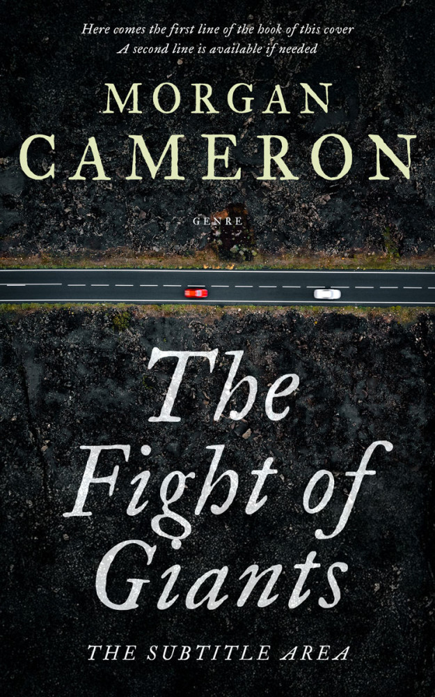 Front view of Woodsmoke #33034 - Premade Mystery & Thriller & Suspense Book Cover