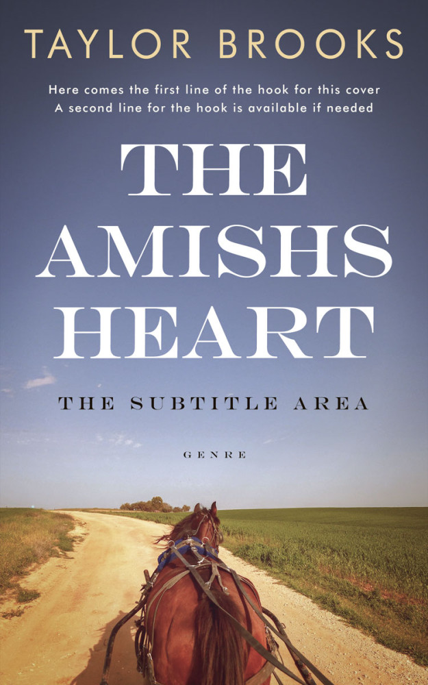 Front view of Storm Gray #33283 - Premade Literary Fiction Book Cover