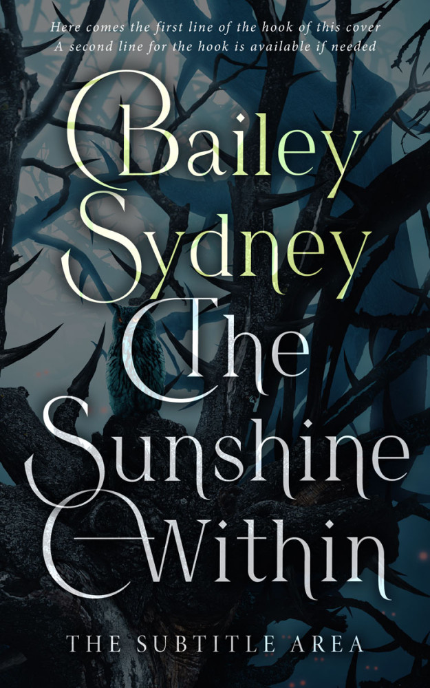 Front view of Aztec #33352 - Premade Fantasy Book Cover