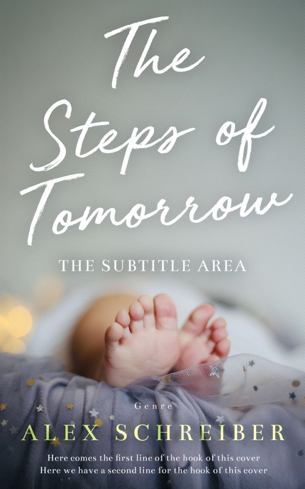 Front view of Pewter #335814 - Premade Children's Book Cover