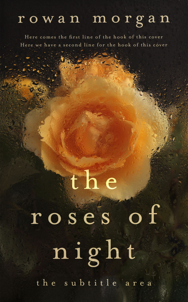 Front view of Copper #34390 - Premade Romance Book Cover